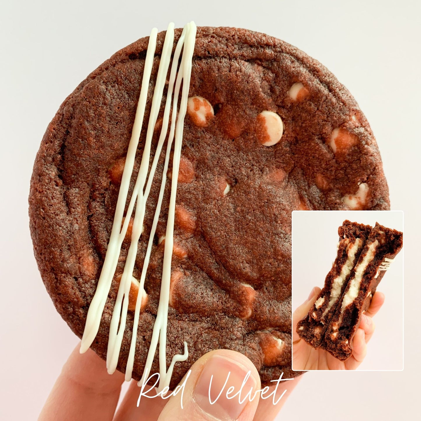 Build Your Own | Box of 12