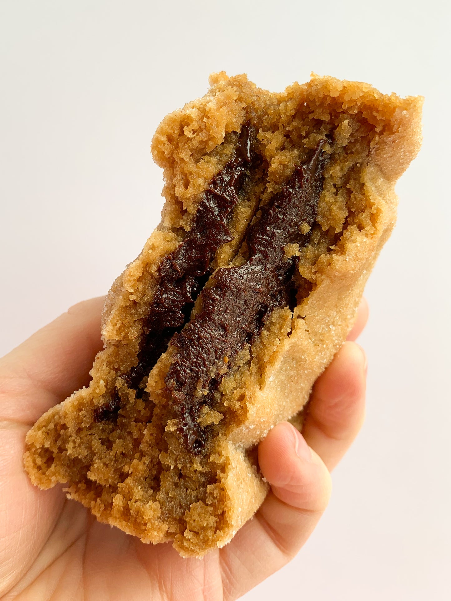 Peanut Butter Fudge Cookie